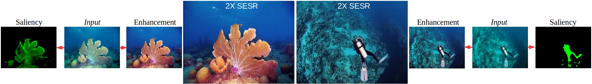 SESR: Simultaneous Enhancement and Super-Resolution for Underwater Imagery
